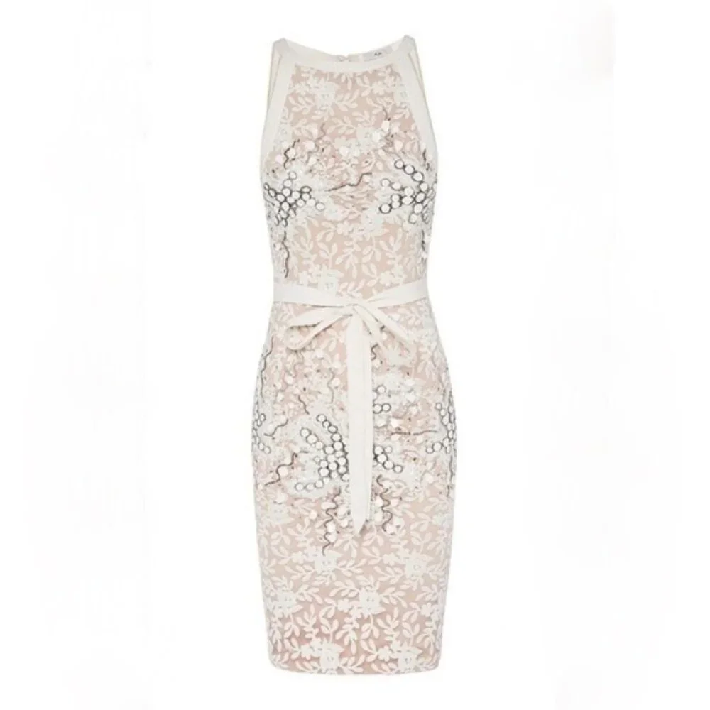 Aje Marabou Lace Dress